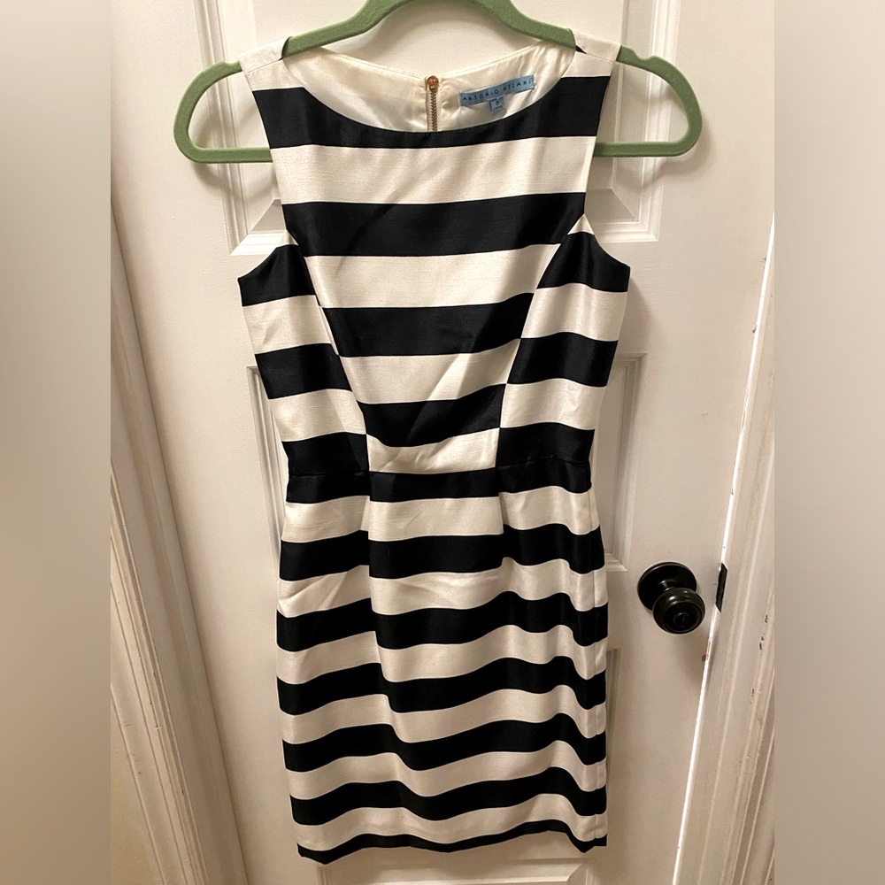 Navy blue and white striped dress.
